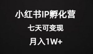 价值2000+的小红书IP孵化营项目，超级大蓝海，七天即可开始变现，稳定月入1W+-网络创业副业兼职学习网