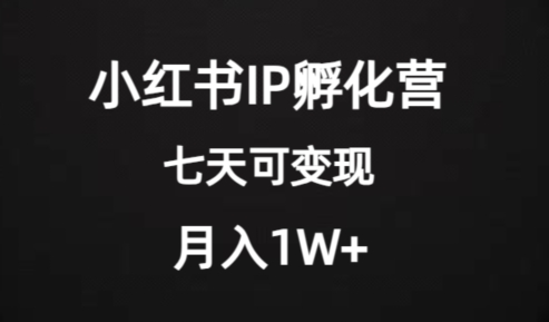 价值2000+的小红书IP孵化营项目，超级大蓝海，七天即可开始变现，稳定月入1W+-网络创业副业兼职学习网