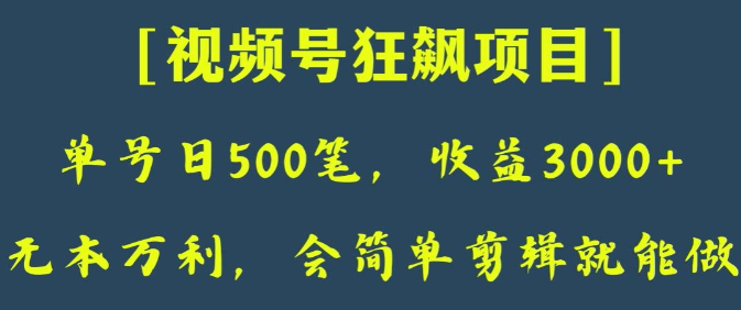 日收款500笔，纯利润3000+，视频号狂飙项目，会简单剪辑就能做【揭秘】-网络创业副业兼职学习网