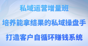 私域运营增量班，培养能拿结果的私域操盘手，打造客户自循环赚钱系统-网络创业副业兼职学习网