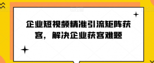 企业短视频精准引流矩阵获客，解决企业获客难题-网络创业副业兼职学习网