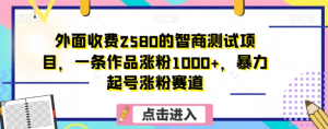 外面收费2580的智商测试项目，一条作品涨粉1000+，暴力起号涨粉赛道【揭秘】-网络创业副业兼职学习网
