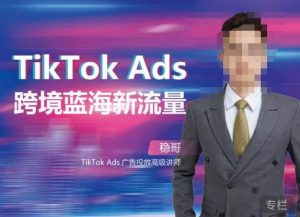 稳哥·如何投出高ROI的TikTok广告，开拓独立站卖家流量新蓝海-网络创业副业兼职学习网
