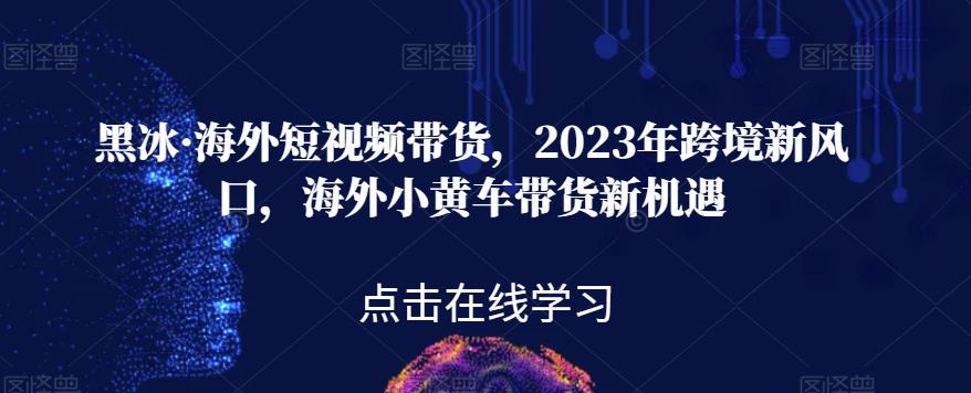 黑冰·海外短视频带货，2023年跨境新风口，海外小黄车带货新机遇-网络创业副业兼职学习网