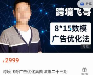 跨境飞哥·广告优化高阶课第二十三期,8*15数模广告优化法,用数据驱动决策-网络创业副业兼职学习网