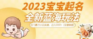 2023宝宝起名全新蓝海玩法，冷门暴力小白实操，日入1000+（全套教程）【揭秘】-网络创业副业兼职学习网