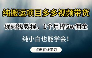 纯搬运项目多多视频带货保姆级教程，1个月搞5w佣金，纯小白也能学会【揭秘】-网络创业副业兼职学习网