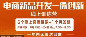 南掌柜·电商新品开发——微创新，电商新品微创新是你企业发展的护城河-网络创业副业兼职学习网