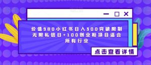 价值980小红书日入300突破限制无限私信日+100创业粉项目适合所有行业-网络创业副业兼职学习网