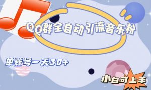 QQ群全自动引流音乐粉，单账号一天轻松引流30+-网络创业副业兼职学习网