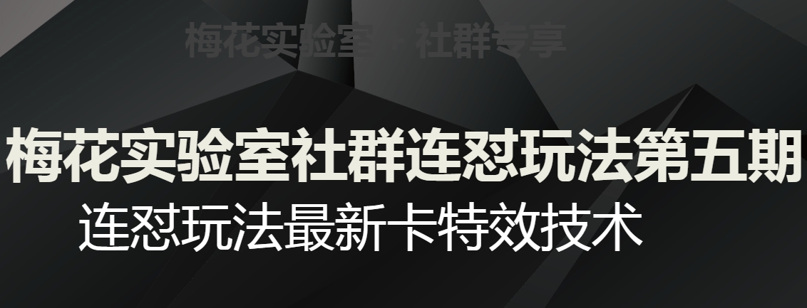 梅花实验室社群连怼玩法第五期，视频号连怼玩法最新卡特效技术-网络创业副业兼职学习网