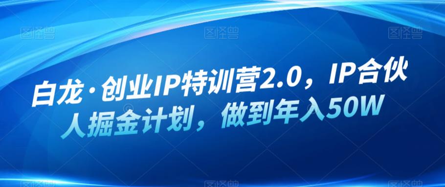 白龙·创业IP特训营2.0，IP合伙人掘金计划，做到年入50W-网络创业副业兼职学习网