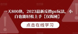 一天800块,2023最新反撸pz玩法,小白也能轻松上手【仅揭秘】-网络创业副业兼职学习网