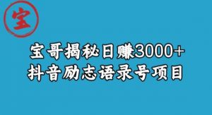 宝哥揭秘日赚3000+抖音励志语录号短视频变现项目-网络创业副业兼职学习网