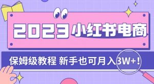 阿本小红书电商陪跑营4.0，带大家从0到1把小红书做起来-网络创业副业兼职学习网