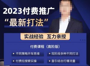淘宝付费全系列金牌系列，2023付费起流量最新打法，涵盖面广-网络创业副业兼职学习网