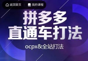 互力·拼多多直通车打法，ocpx&全站打法-网络创业副业兼职学习网