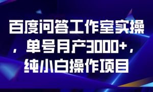百度问答工作室实操，单号月产3000+，纯小白操作项目【揭秘】-网络创业副业兼职学习网