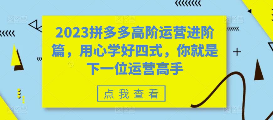 2023拼多多高阶运营进阶篇，用心学好四式，你就是下一位运营高手-网络创业副业兼职学习网
