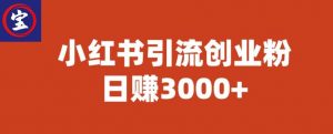 宝哥小红书引流创业粉,日赚3000+【揭秘】-网络创业副业兼职学习网