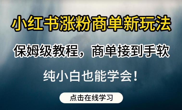 小红书涨粉商单新玩法，保姆级教程，商单接到手软，纯小白也能学会【揭秘】-网络创业副业兼职学习网