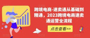 跨境电商-速卖通从基础到精通，2023跨境电商速卖通运营全流程-网络创业副业兼职学习网