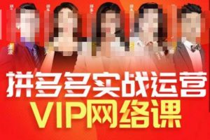 推易拼多多VIP全套直播课程,拼多多店铺实操玩法+实战玩法选款内功+直通车高阶等-网络创业副业兼职学习网