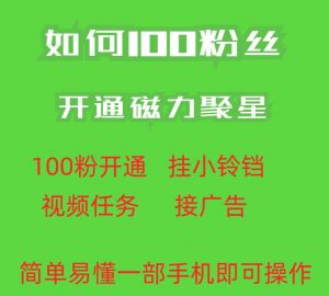 最新外面收费398的快手100粉开通磁力聚星方法操作简单秒开-网络创业副业兼职学习网