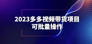 2023多多视频带货项目，可批量操作【保姆级教学】【揭秘】-网络创业副业兼职学习网