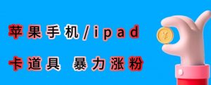 最新利用苹果手机/ipad的ios系统，卡道具搬短视频，百分百过原创-网络创业副业兼职学习网