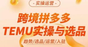 伍跃·跨境拼多多TEMU实操与选品,趋势/选品/运营/入住(27节完整)-网络创业副业兼职学习网