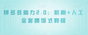 拼多多助力2.0：机刷+人工全套喂饭式教程【揭秘】-网络创业副业兼职学习网