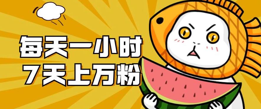 暴力涨粉项目:每天一小时,七天上万粉【揭秘】