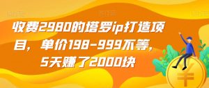 收费2980的塔罗ip打造项目，单价198-999不等，5天赚了2000块【揭秘】-网络创业副业兼职学习网