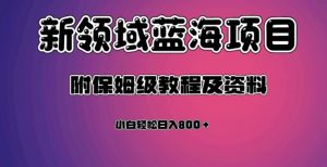 虚拟资源蓝海领域新项目，轻松日入800＋，附保姆级教程及资料-网络创业副业兼职学习网
