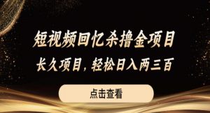 短视频回忆杀撸金项目，长久项目，轻松日入两三张【揭秘】-网络创业副业兼职学习网
