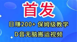 首发,抖音无脑搬运视频,日赚200+保姆级教学【揭秘】-网络创业副业兼职学习网