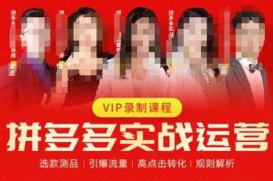 2023推易拼多多实战运营，选款测品、引爆流量、高点击转化、规则解析-网络创业副业兼职学习网