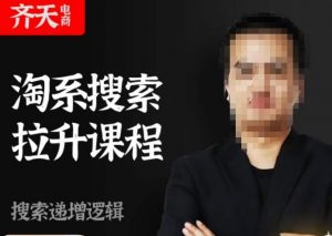 齐天电商·淘系搜索提升课程，​搜索递增标准化，动销标准化流程-网络创业副业兼职学习网