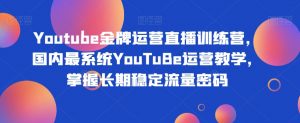 Youtube金牌运营直播训练营,国内最系统YouTuBe运营教学,掌握长期稳定流量密码-网络创业副业兼职学习网