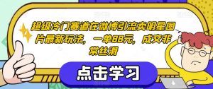 超级冷门赛道在微博引流卖明星图片最新玩法，一单88元，成交非常丝滑【揭秘】-网络创业副业兼职学习网