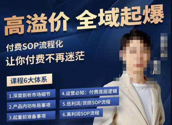 逸风-拼多多高溢价全域起爆，6大课程体系，付费玩法全套实操-网络创业副业兼职学习网