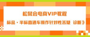 松鼠会电商VIP教程：松鼠《付费推广标品·半标直通车操作针对性答疑&诊断》-网络创业副业兼职学习网