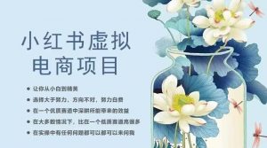 小红书虚拟电商从0到1,让你从小白到精英(20节实操课程)-网络创业副业兼职学习网