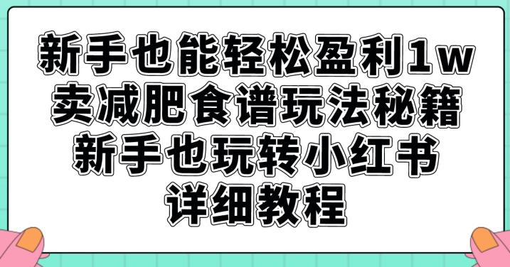 新手也能轻松盈利1w，卖减肥食谱玩法秘籍，新手也玩转小红书详细教程【揭秘】-网络创业副业兼职学习网