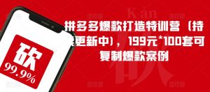 拼多多爆款打造特训营(持续更新中),199元*100套可复制爆款案例-网络创业副业兼职学习网