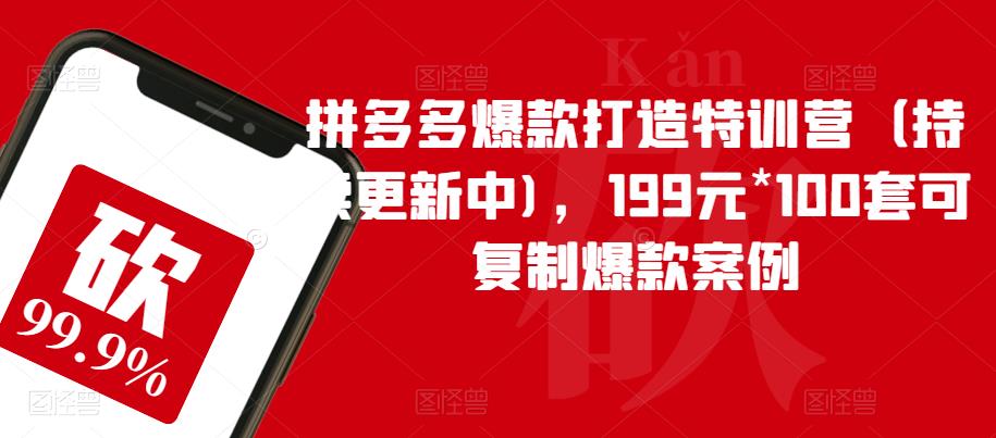 拼多多爆款打造特训营(持续更新中),199元*100套可复制爆款案例