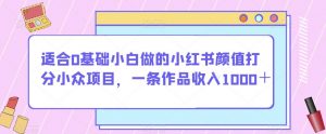 适合0基础小白做的小红书颜值打分小众项目,一条作品收入1000+【揭秘】-网络创业副业兼职学习网