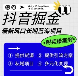 抖音掘金最新风口，长期蓝海项目，日入无上限（附实操案例）【揭秘】-网络创业副业兼职学习网