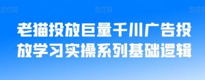 老猫投放巨量千川广告投放学习实操系列基础逻辑-网络创业副业兼职学习网
